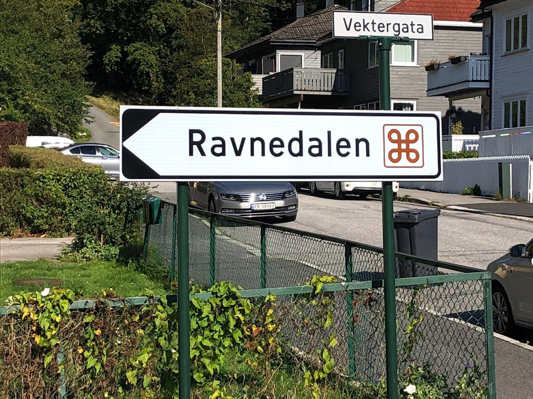 Ravnedalen Naturpark景点图片