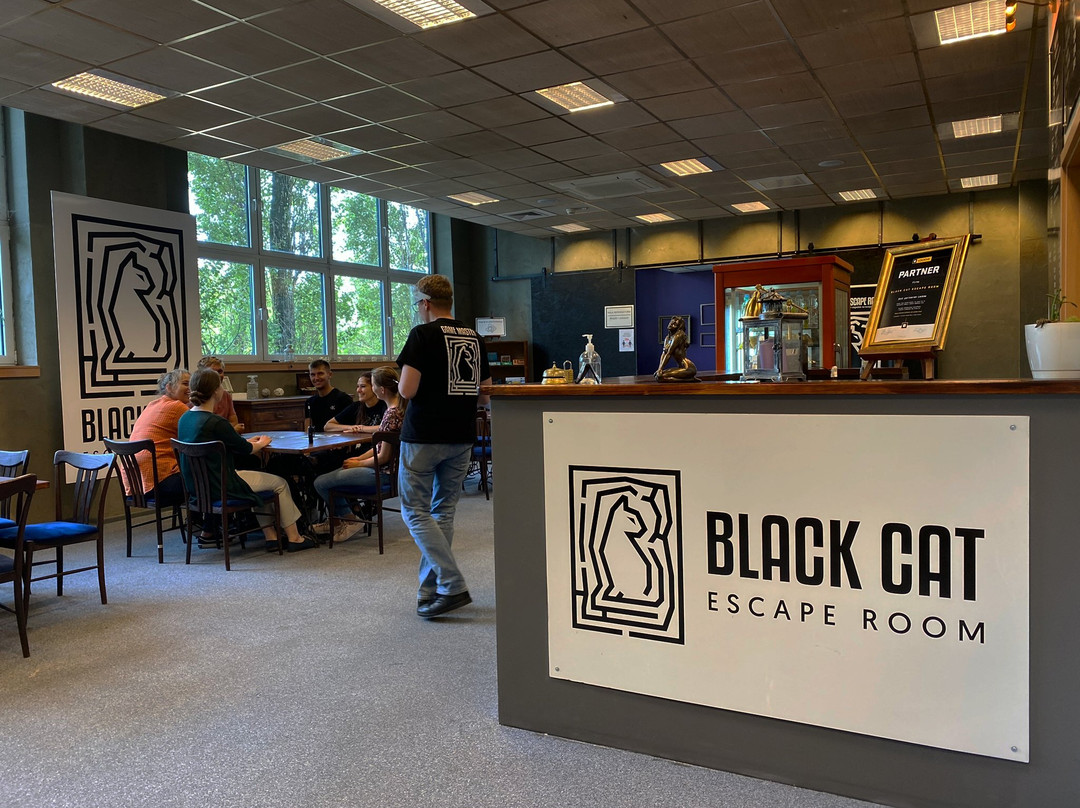 Black Cat Escape Room景点图片