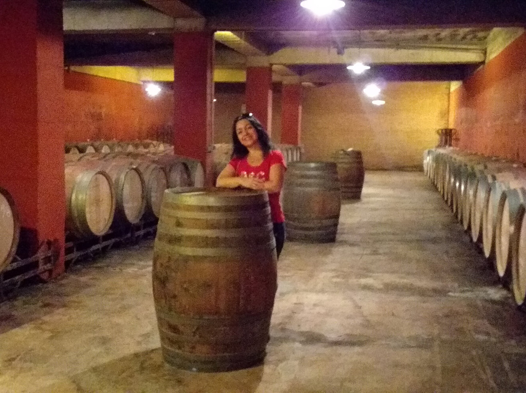 Parató Winery景点图片