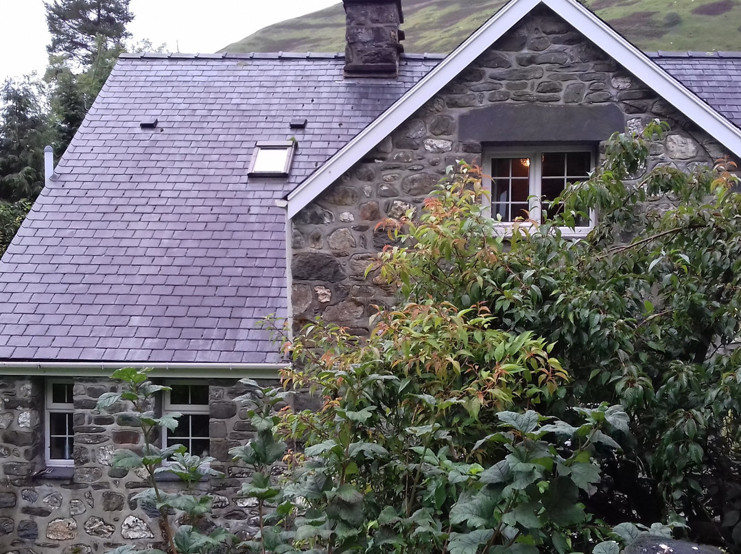 Bryn Sion Farm主图