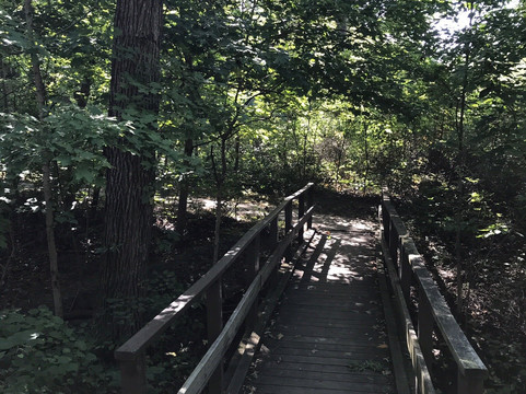 Spitler Woods State Natural Area-Mount Zion必去景点