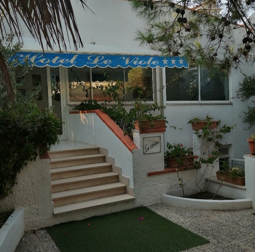 Hotel Le Viole主图