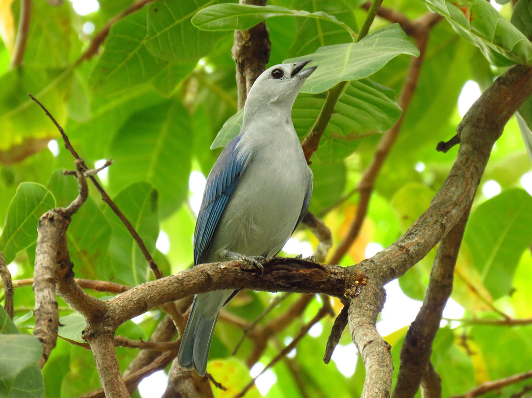 Hotel el Greco主图