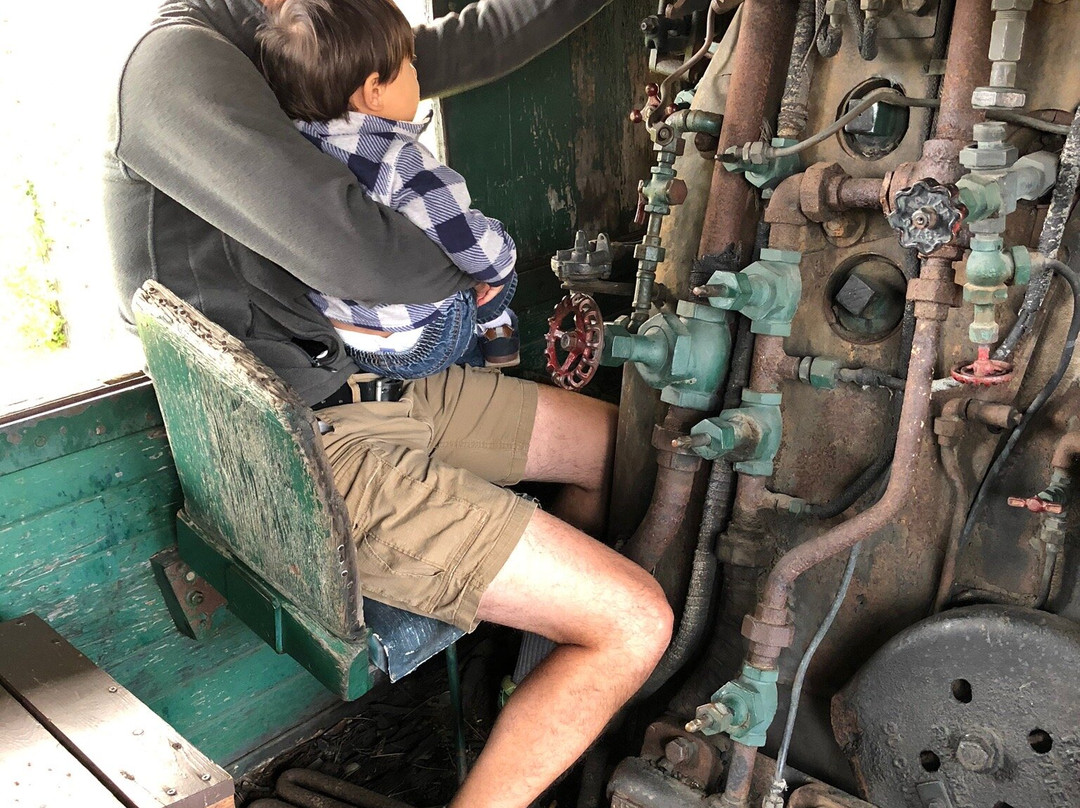 The Tower-Soudan Historical Society Historical Center-Tower必去景点