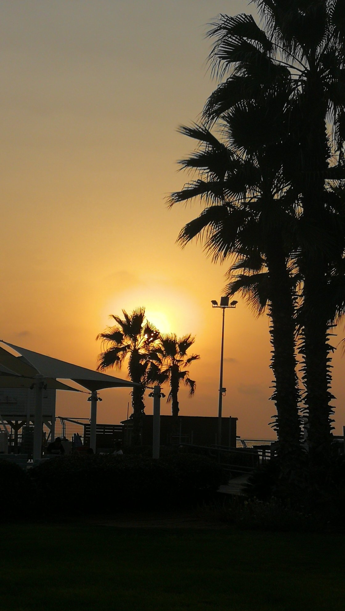 Palm Beach Hotel Acre-官方