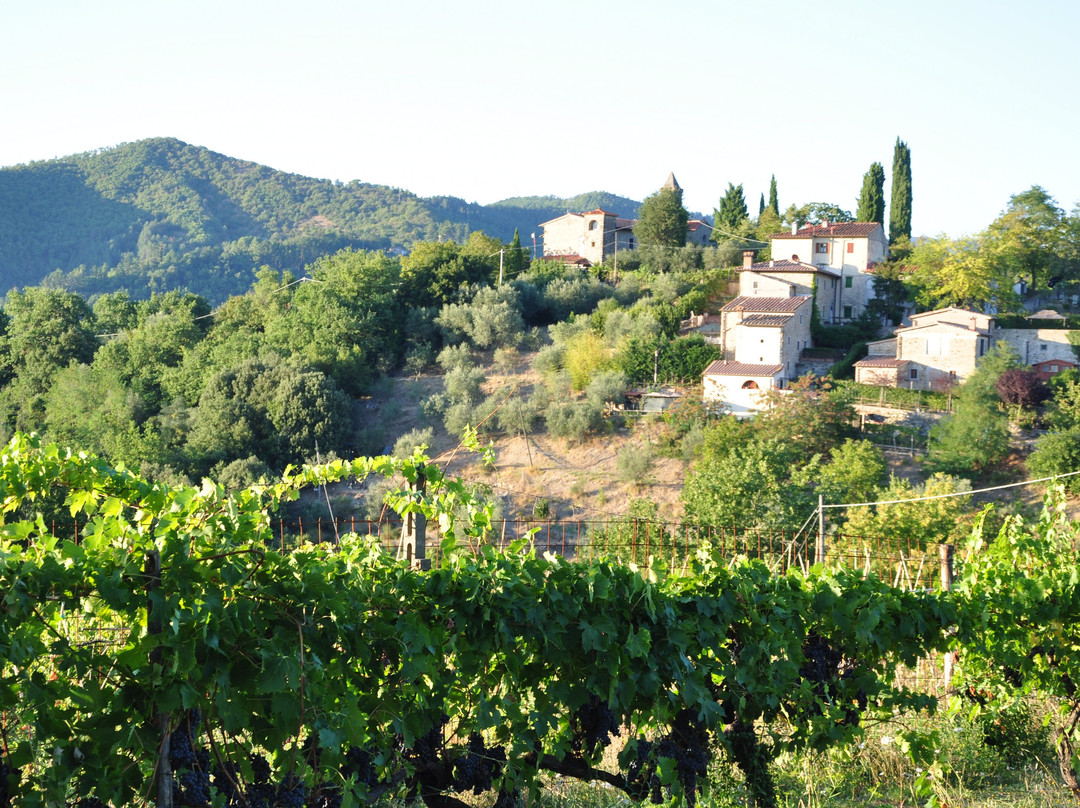 Azienda Agricole Frascole-Dicomano必去景点