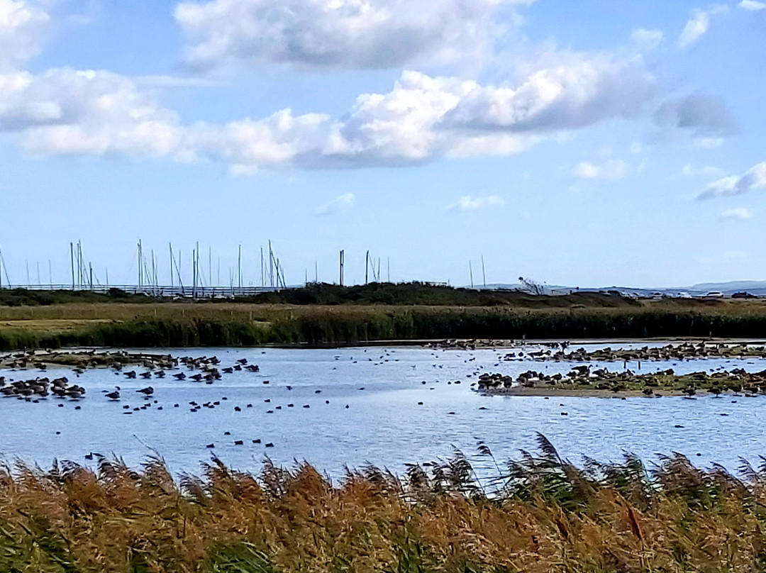 Titchfield Haven National Nature Reserve景点图片