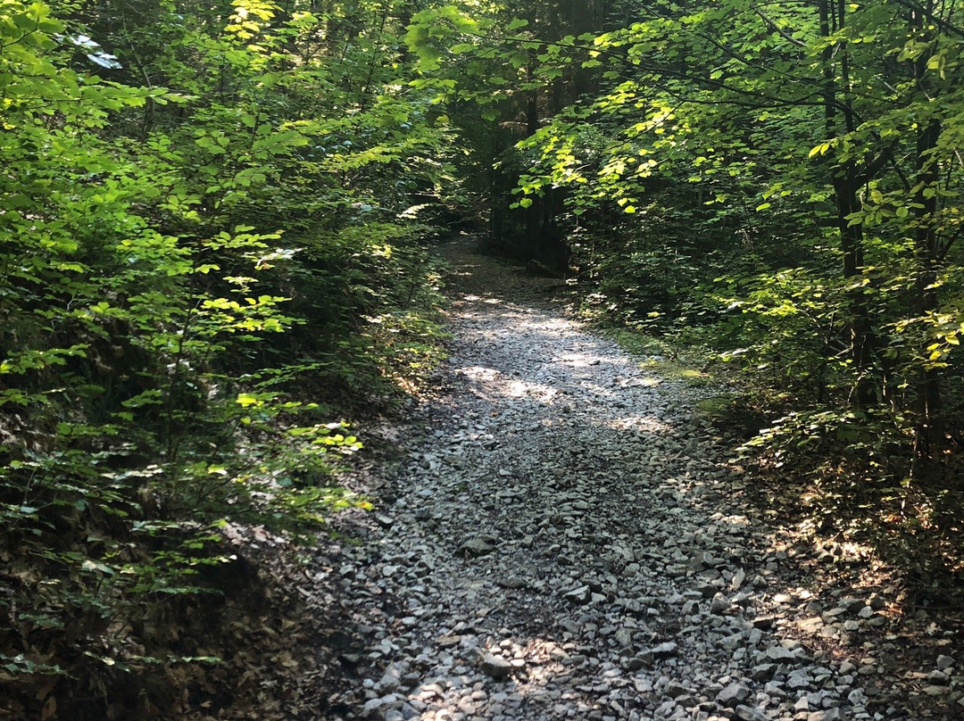 Raabklamm-Weiz必去景点