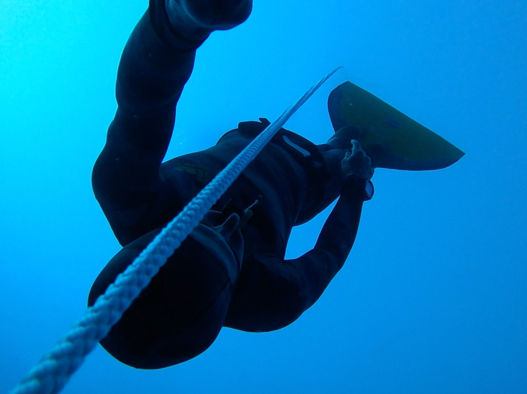 Indigo Dive Mondragó-Cala Mondrago必去景点