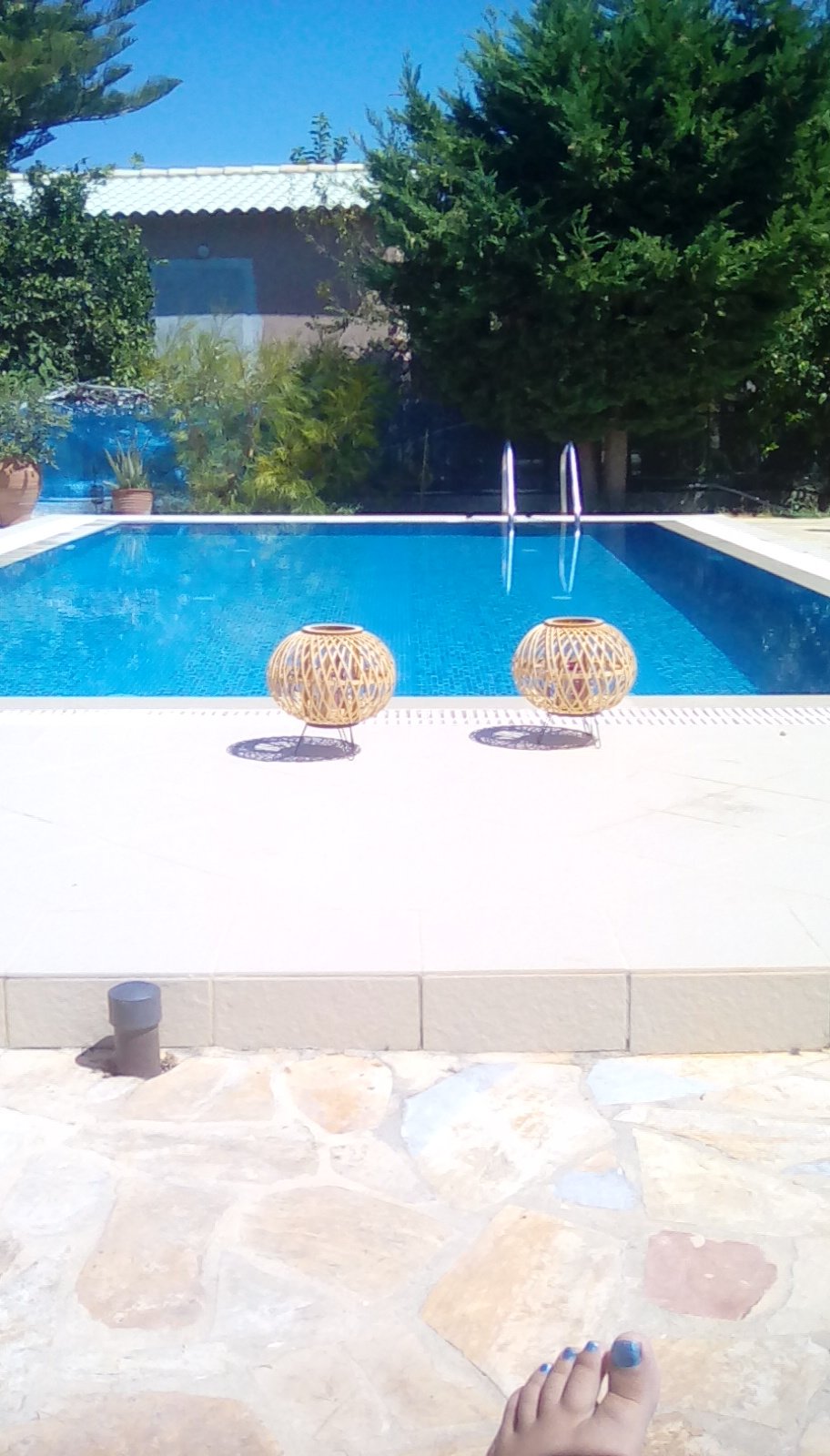 Evan's Studios-泳池