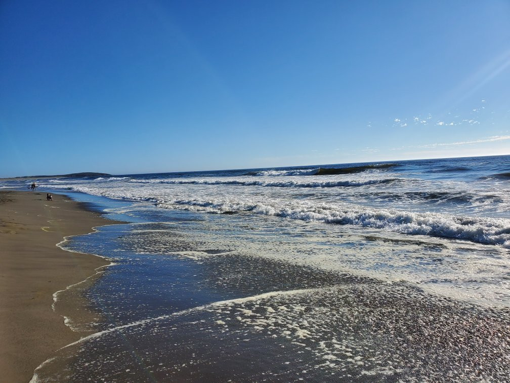Sonoma Coast State Beach - Salmon Creek景点图片