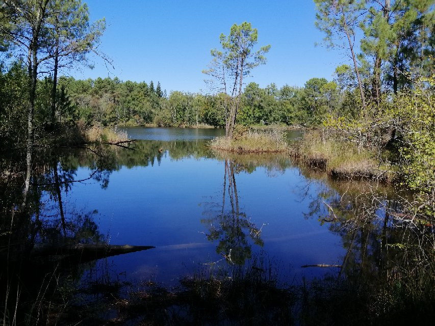 Domaine Départemental Gérard Lagors-Hostens必去景点