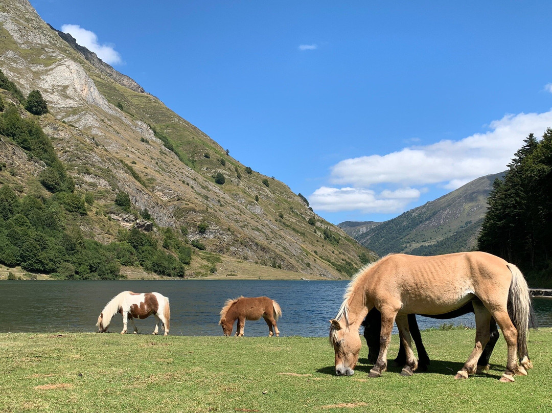 Lac D'Estaing-Estaing必去景点