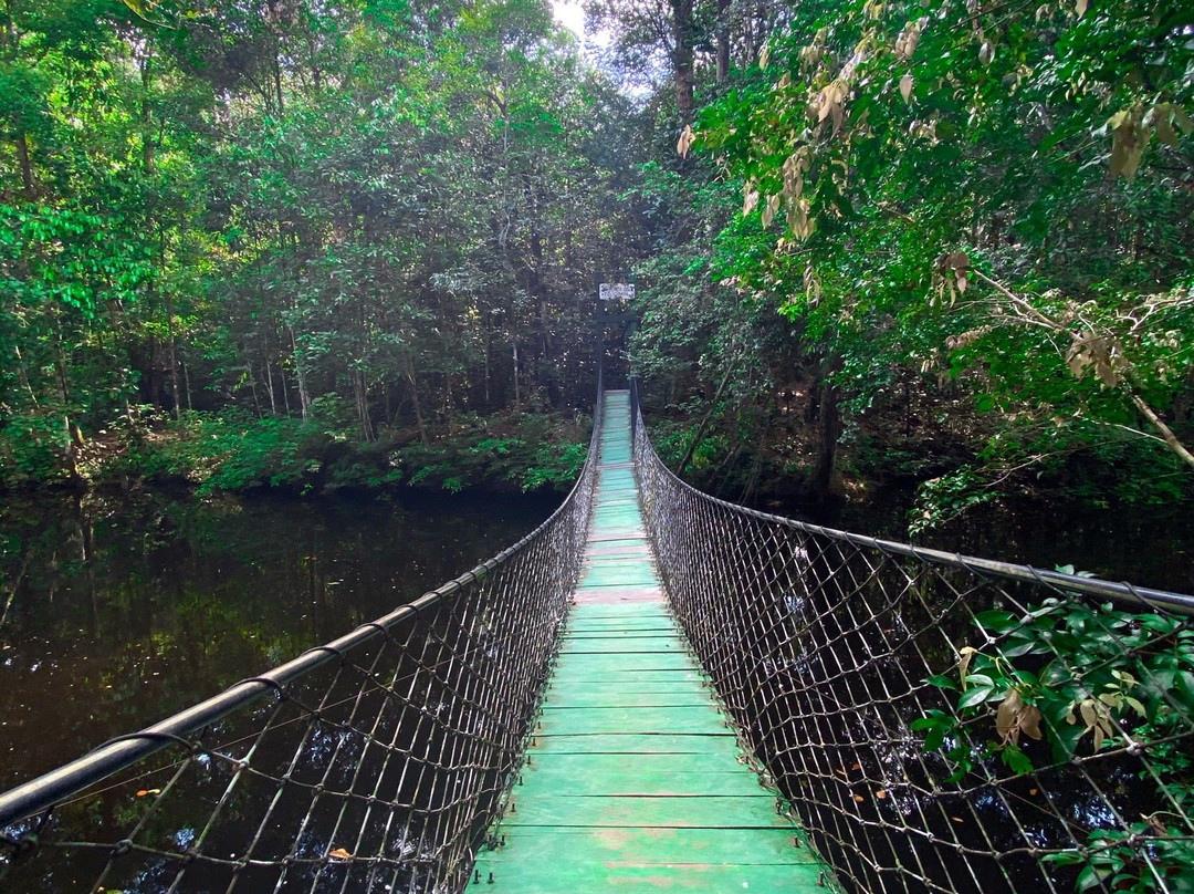 Cachoeira da Onça-Presidente Figueiredo必去景点
