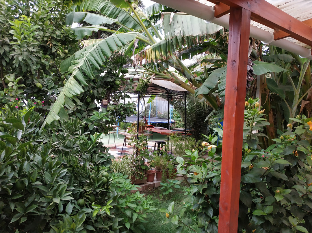 Hostal Restaurante Aconcagua