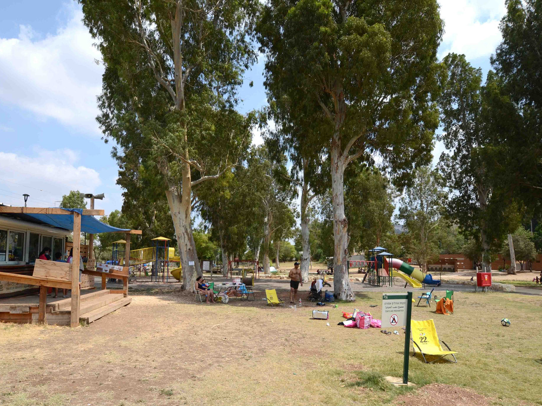 Ma'ayan Harod National Park景点图片