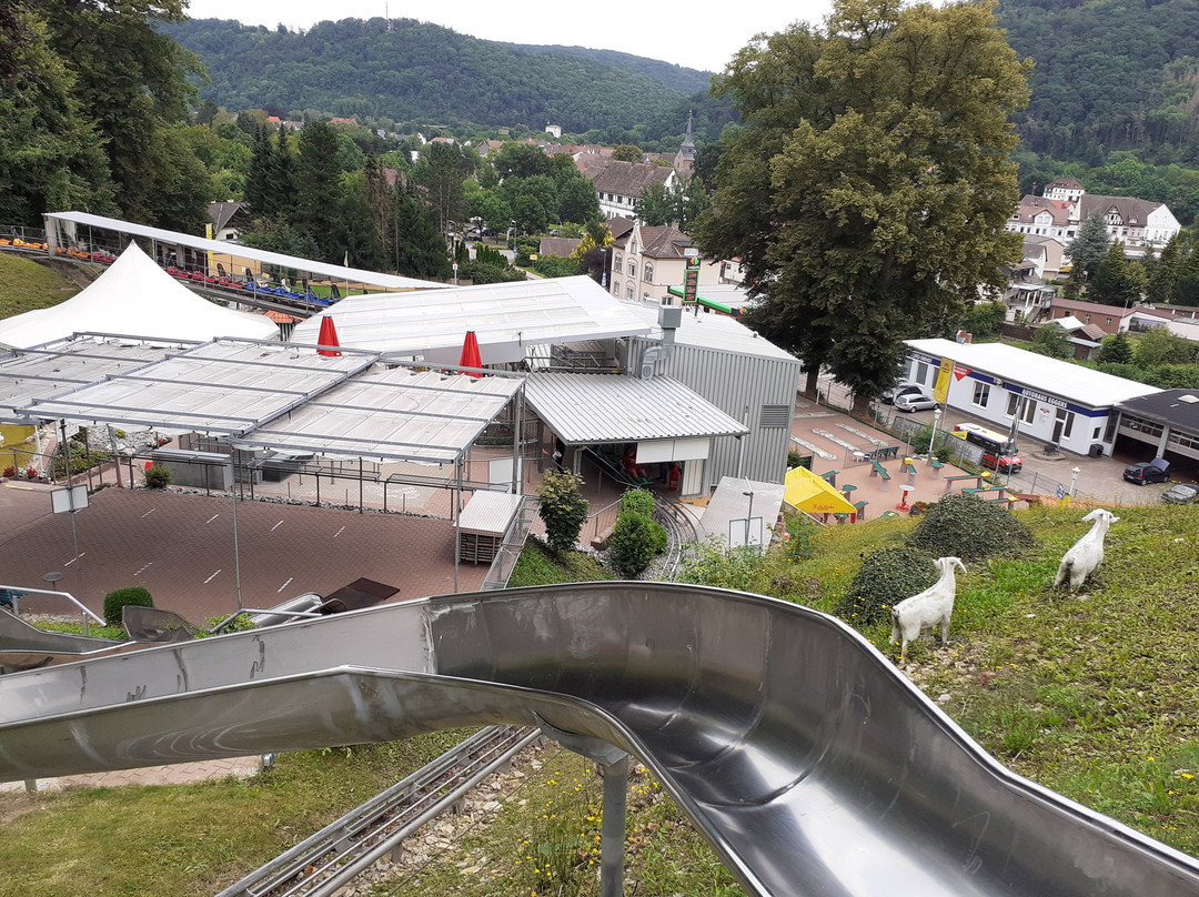 Sommer-Rodelbahn Bodenwerder景点图片