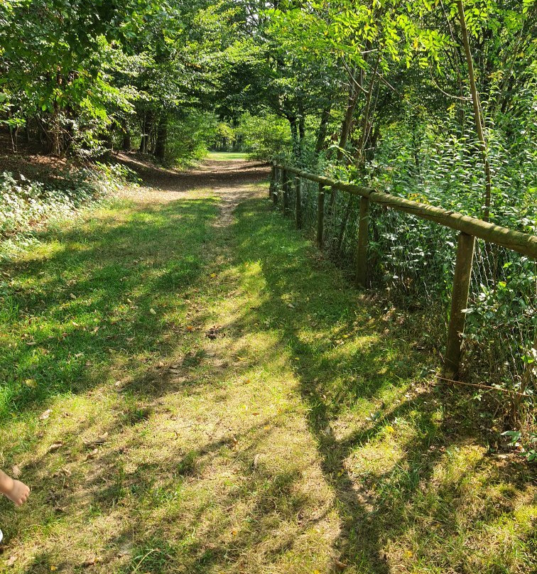 Agriturismo Campofelice主图