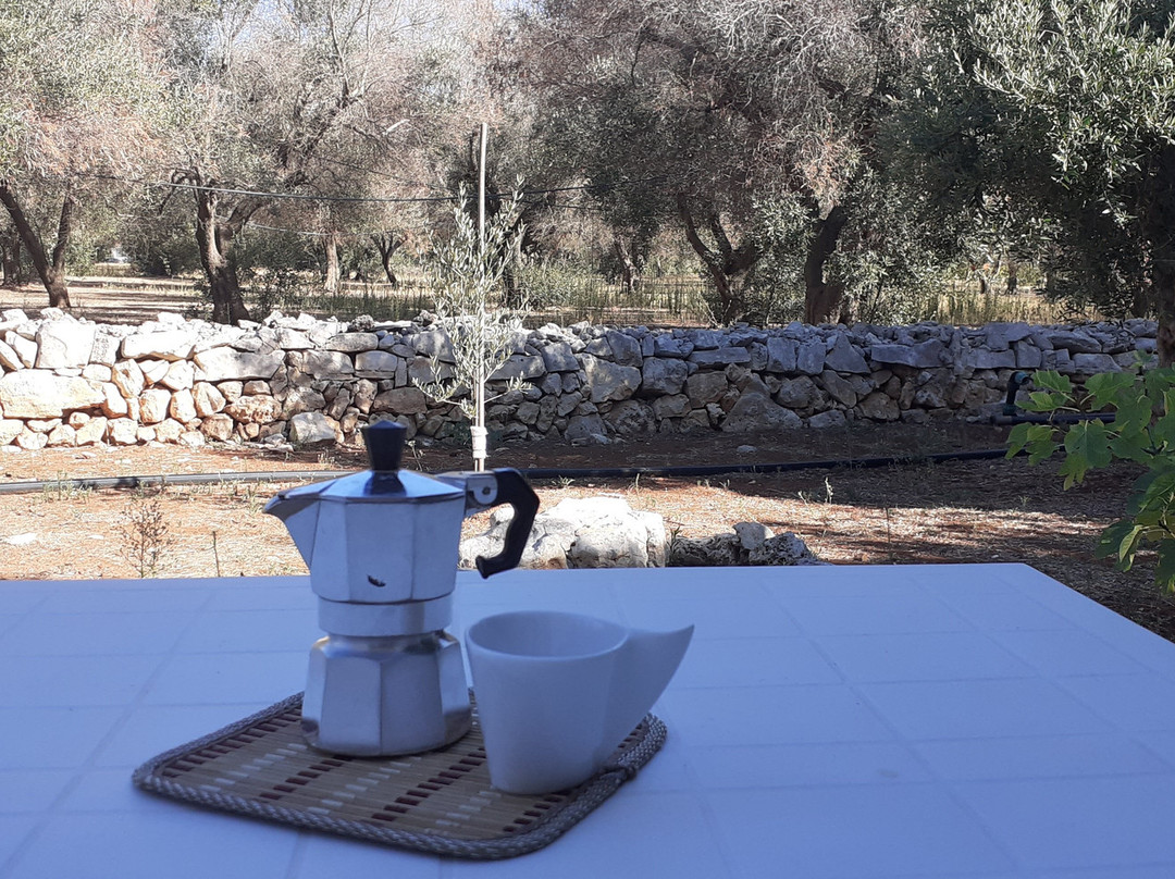 Tenuta De Marco Residence主图