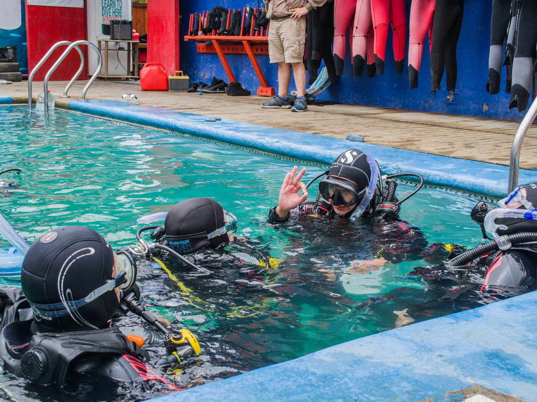 Buceo Pichidangui Dive Center-Pichidangui必去景点