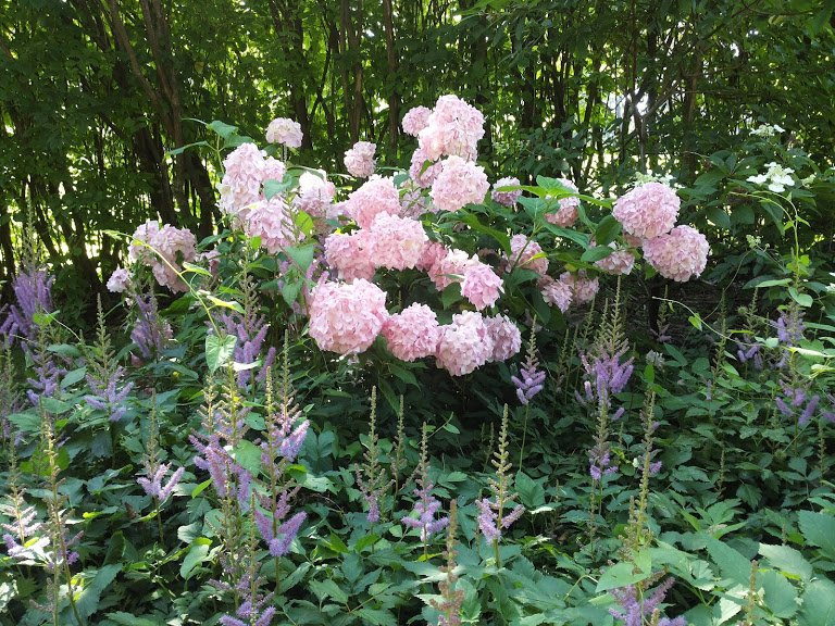 Botanisches Garten des Universitaets-里加必去景点