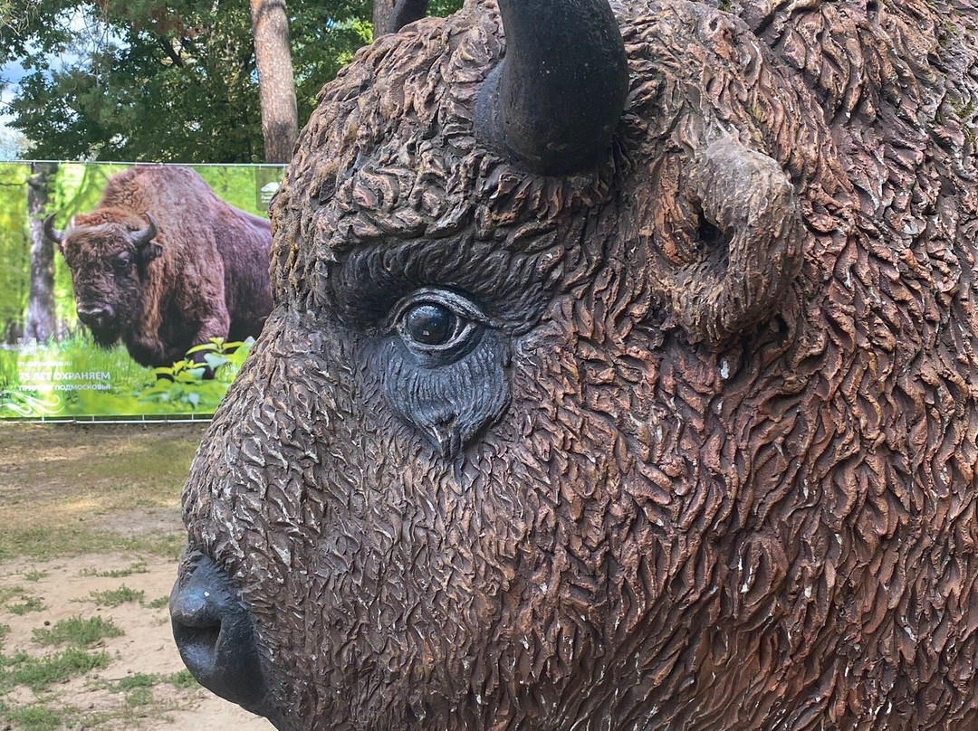 The Bison Breeding Centre景点图片