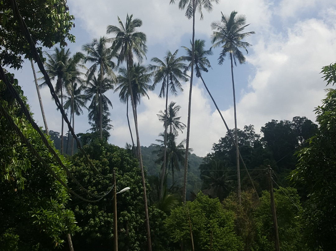 Ali's Waterfall-刁曼岛必去景点