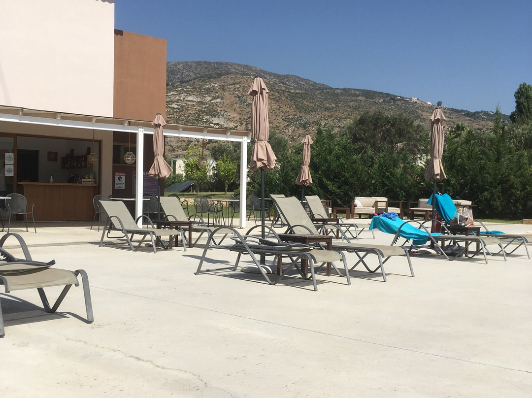 Aligis Studios主图