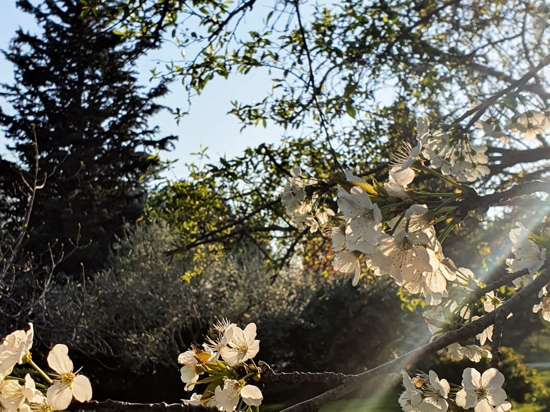 Ripabianca Agriturismo di Charme主图