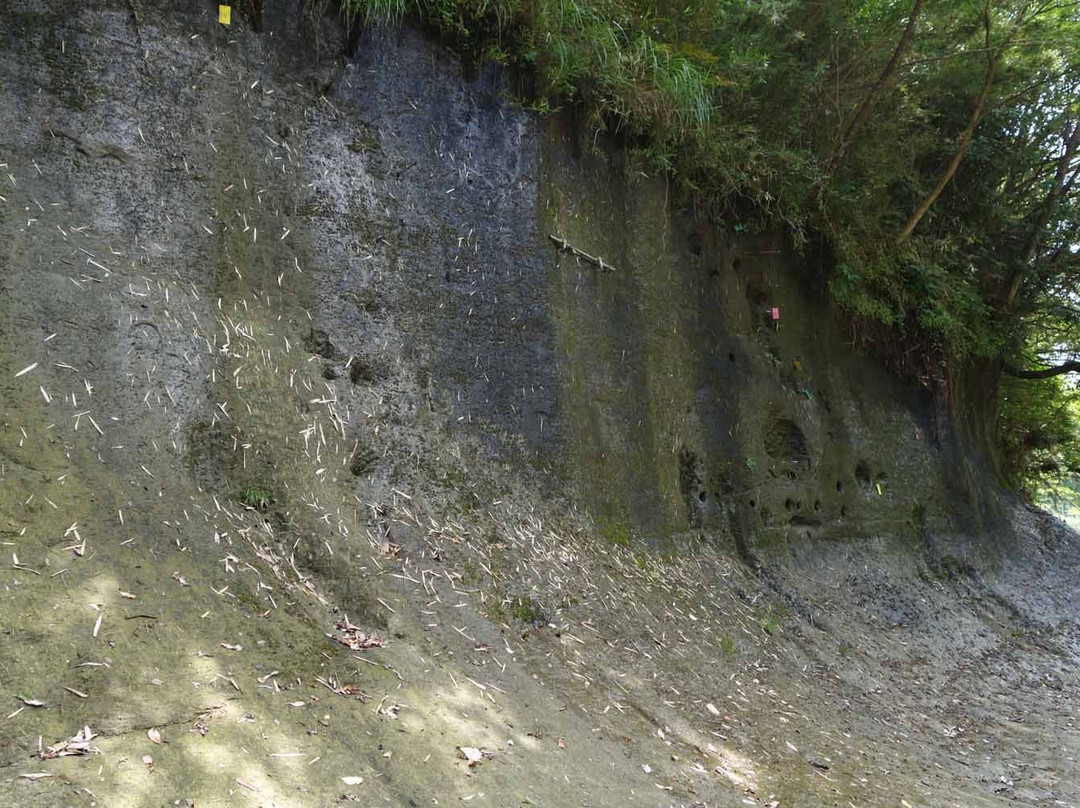 Chikyu Jiba Gyakuten Chiso-市原市必去景点