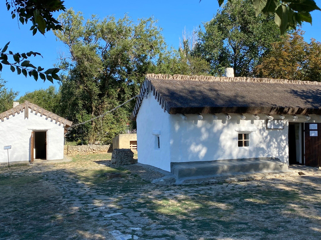 Lermontov House-Museum景点图片
