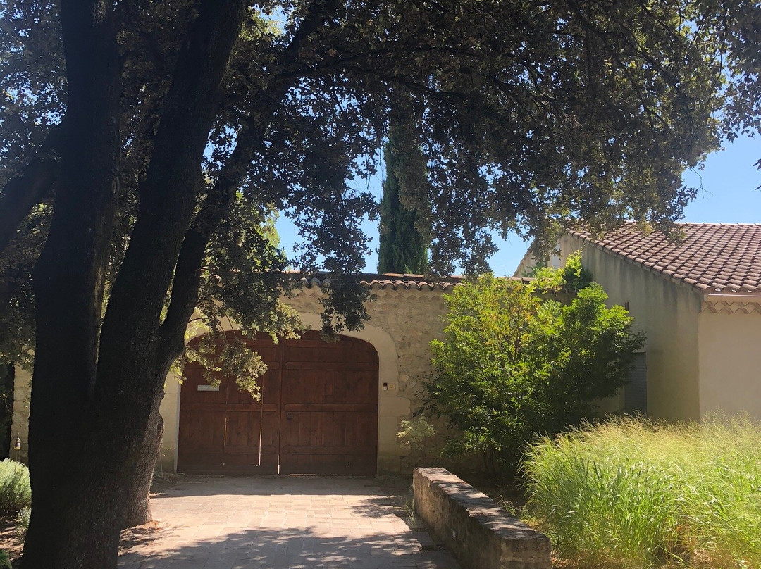 Les Champs de Provence主图