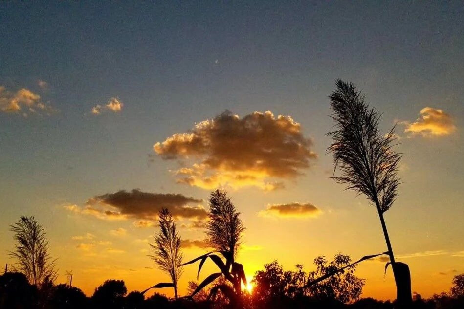 Relaxing and ecological experience in Chongming, Shanghai.-崇明县必去景点