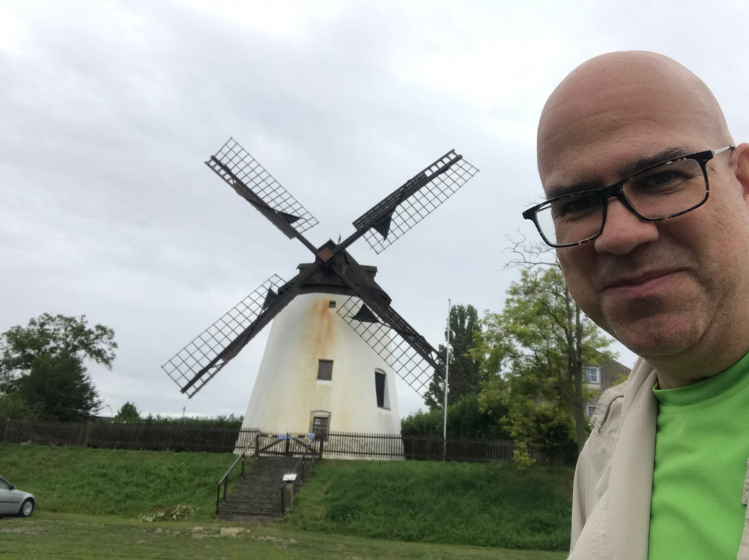 Windmühle Podersdorf am See-Podersdorf am See必去景点