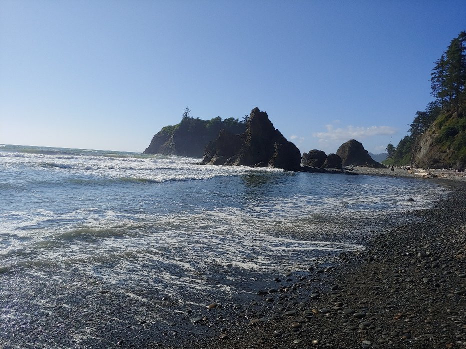 Olympic National Park and Forest Lake Quinault Tours景点图片