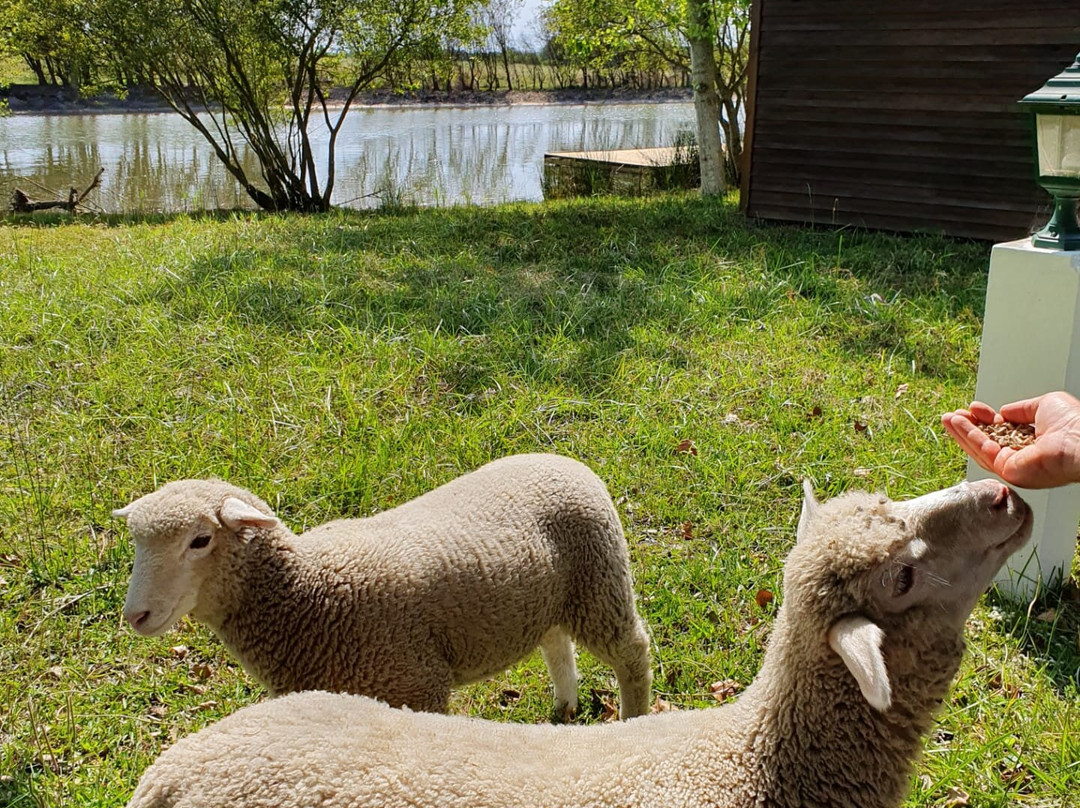 Herdade Moita Mar - Country & Sea主图