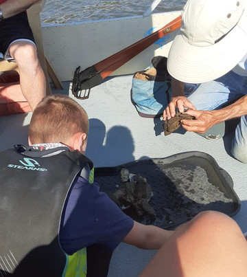 Sailaway Charters-橙色海湾必去景点