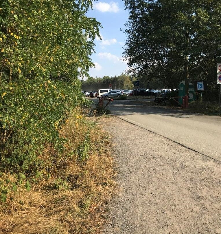 Haselbacher See-Meuselwitz必去景点