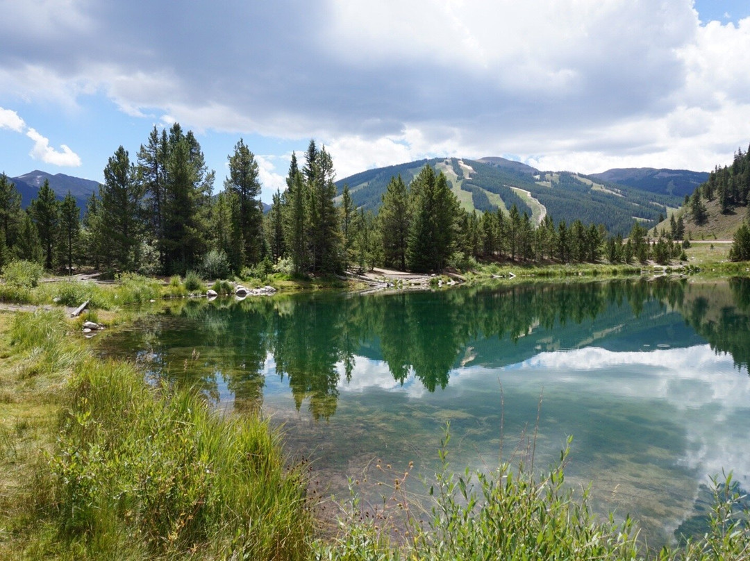 Rebel Sports-弗里斯科必去景点