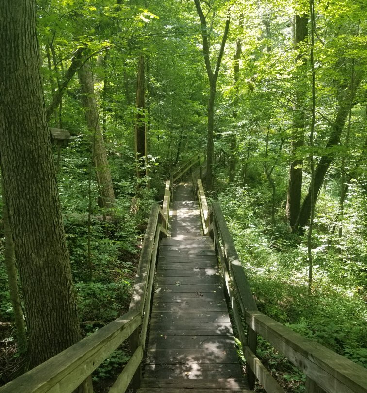 Mounds State Park-安德森必去景点