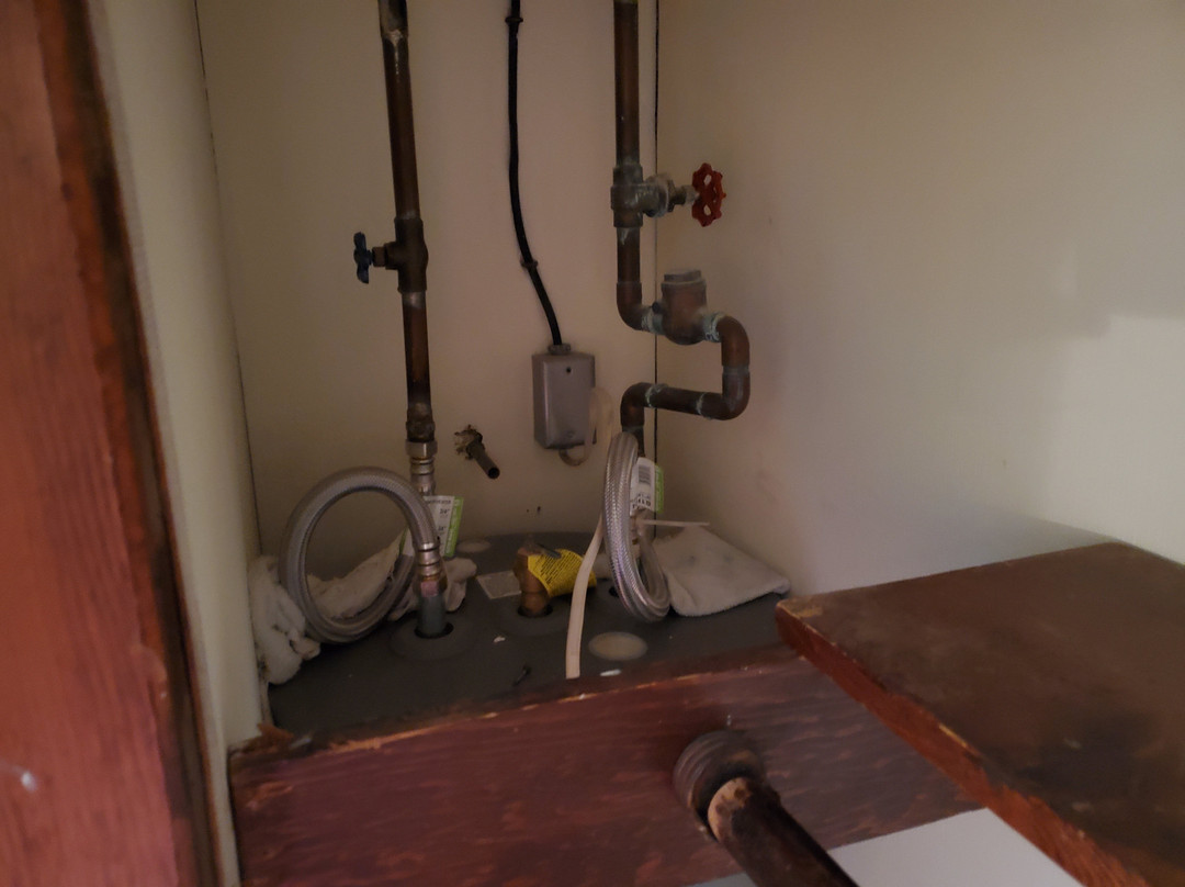 Daunt's Albatross主图