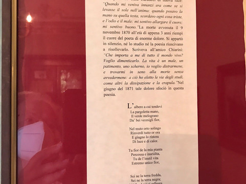 Casa Carducci-卡斯塔涅托卡杜奇必去景点