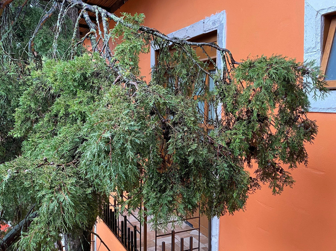 Hotel Casona de Minas主图