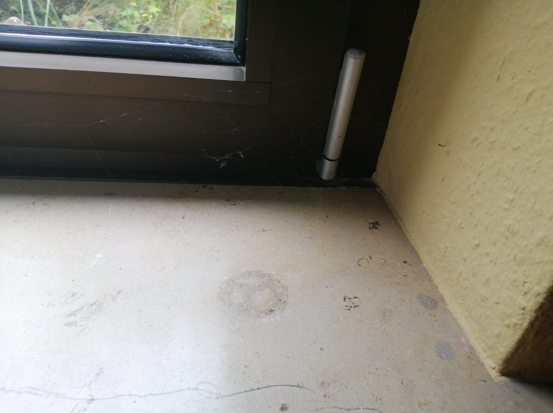 JUFA Hotel Wangen im Allgäu主图