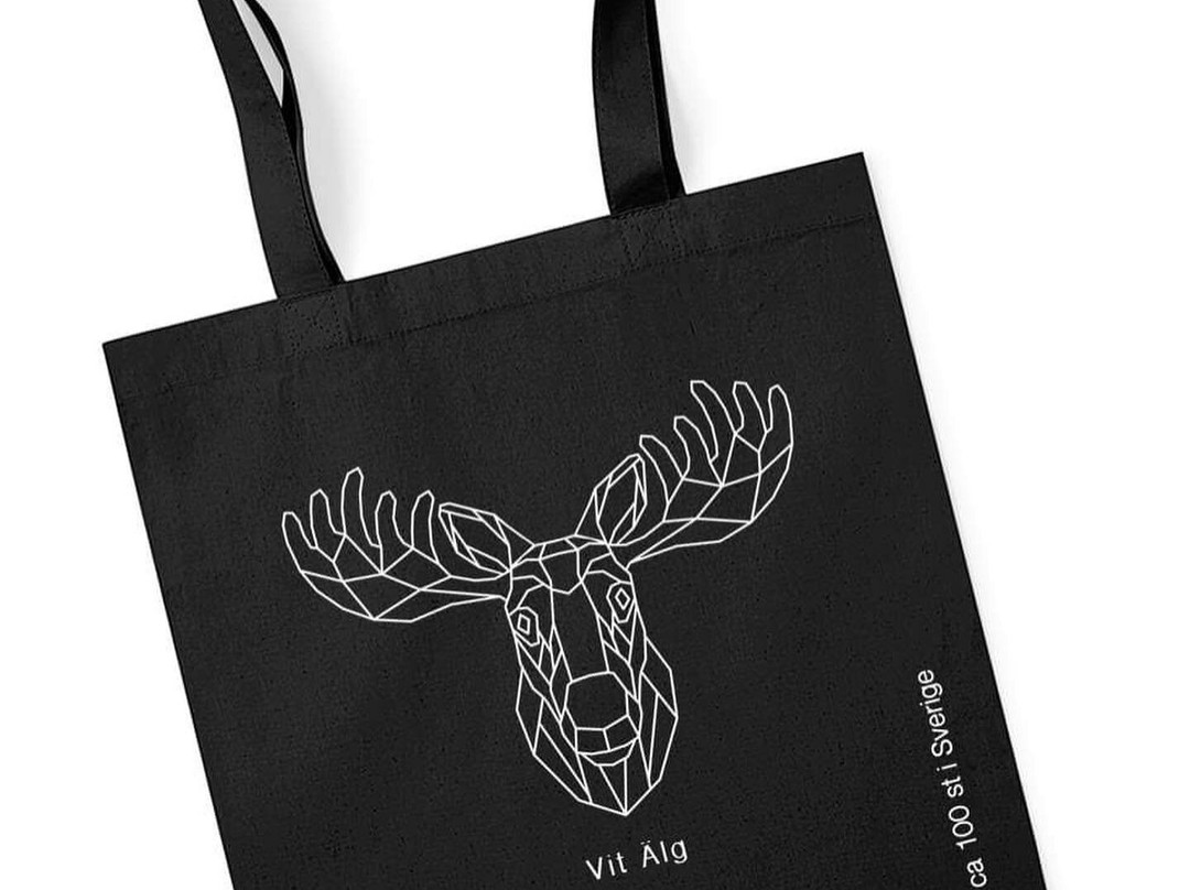 Jimena Concept Store-Grasmark必去景点
