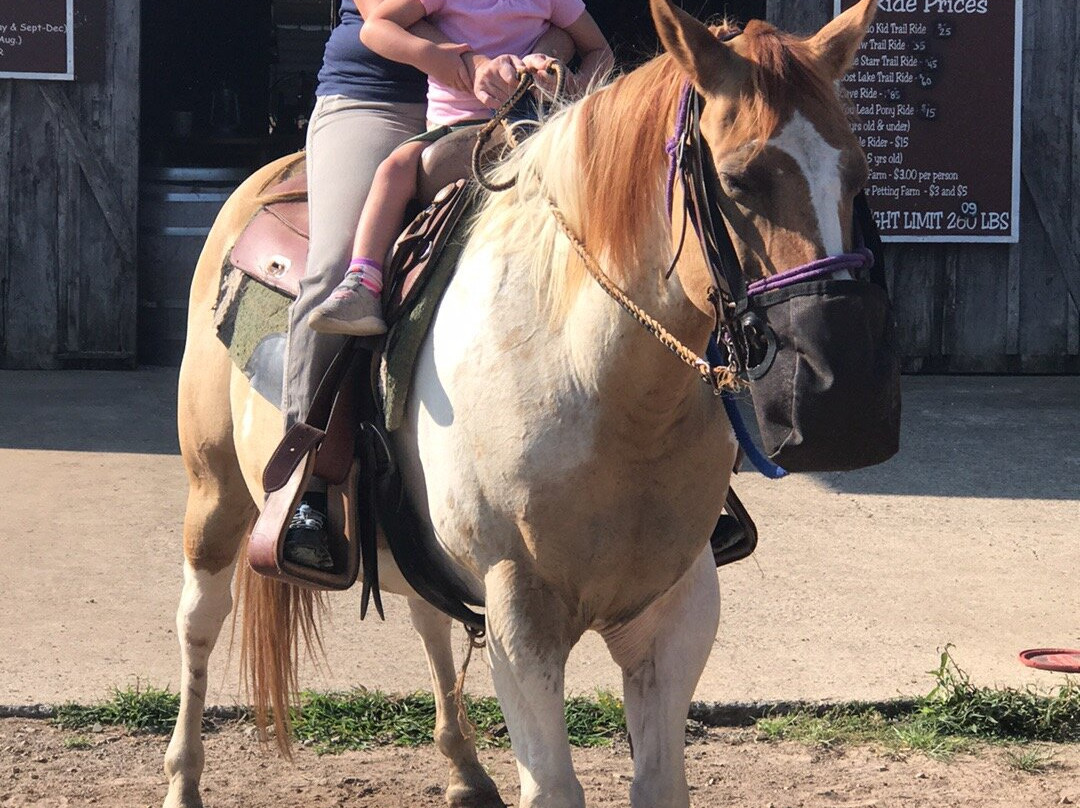 Robbers Cave Stables-Wilburton必去景点