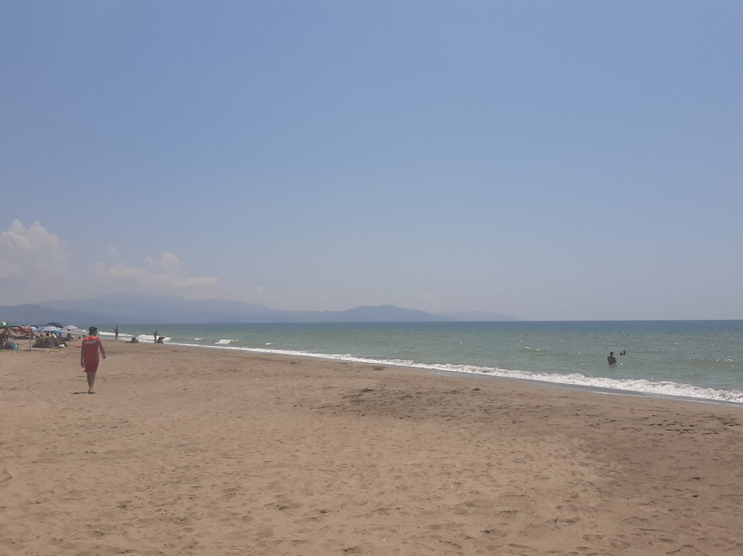 Lido Mimosa景点图片