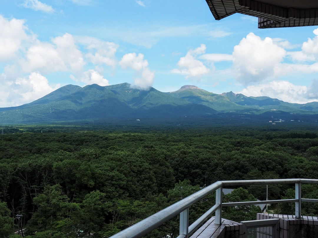 Epinard那须温泉酒店主图