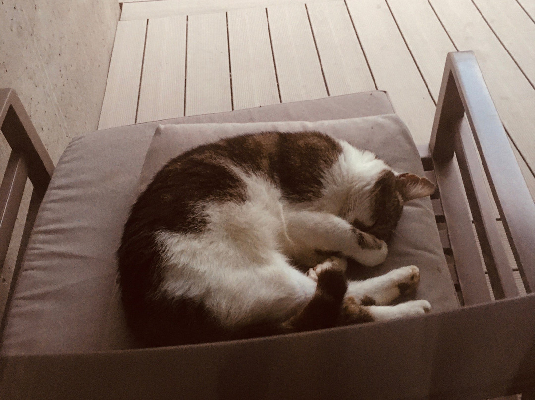 Rosevia Resort & SPA主图