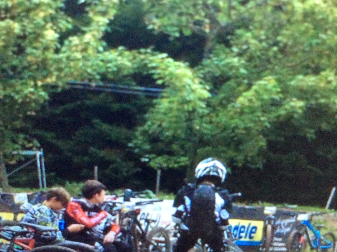 Bikepark Bad Wildbad景点图片